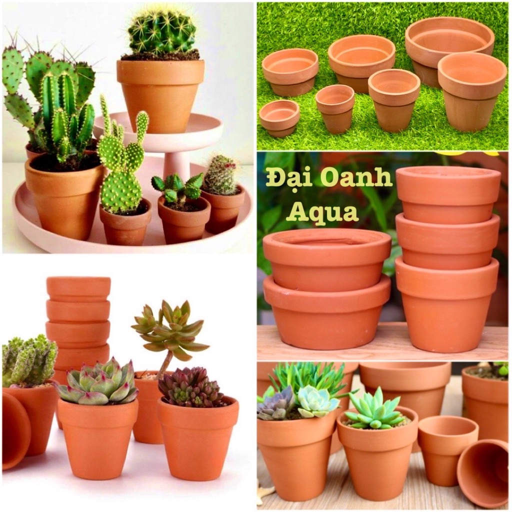 Cốc Gốm Trồng Cây Thủy Sinh Bể Cá - Chậu Gốm Trồng Sen Đá, Xương Rồng Giá Rẻ