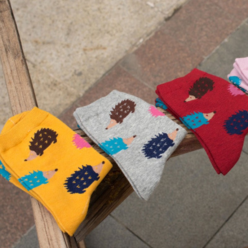 Tất cotton dài , in họa tiết nhím dễ thương cho nữ