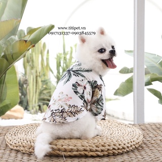 Áo Sơ Mi Cho Thú Cưng Siêu Cưng ♥️