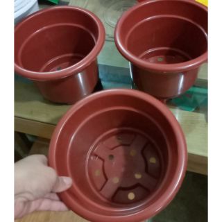 Xô trồng hoa đẹp mới về loại 24cm cao 16cm