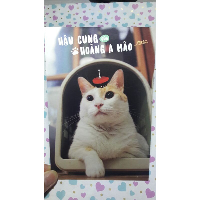 bán lẻ postcard hậu cung của hoàng a mão