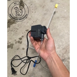 Máy thụt rửa âm đạo heo nái