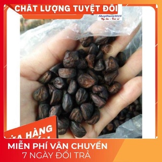 (Dược Liệu Quý) Hạt dổi nếp THƠM ĐẶC TRƯNG tây bắc, dùng thử (5 hạt)