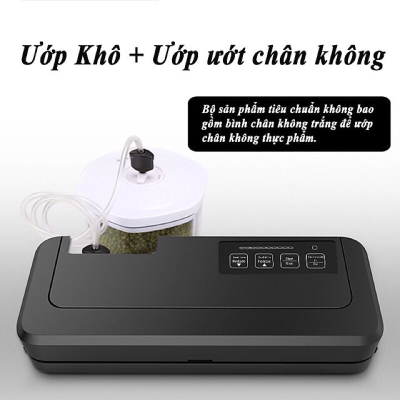 Máy hút chân không P290 không kén túi, hút đồ khô, ướt