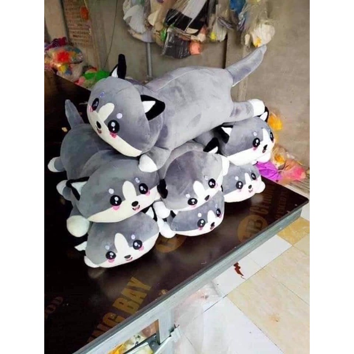 ❤️Giá Xưởng❤️Mèo Bông, Mèo Bi Xám, Mèo Ngáo Alaska Siêu Mềm Mịn