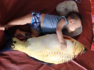 Cá chép bông size bự