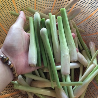 Combo Bò Khô cho khách