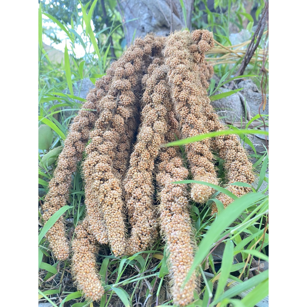 Kê chùm nguyên bông nhà trồng dùng tắm cho bé ngứa rôm sảy - gói 100gr