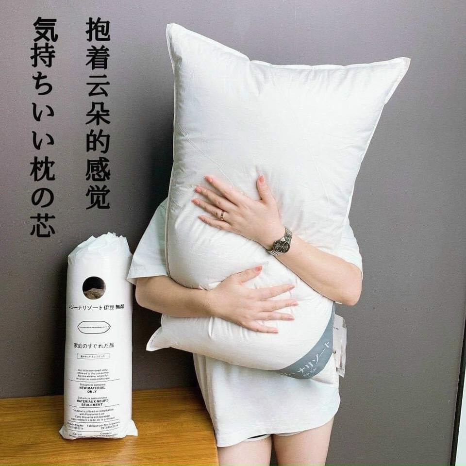 SÉT 2 RUỘT GỐI LÔNG VŨ KHÁNG KHUẨN  JAPAN