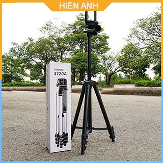 Gậy chụp ảnh, giá đỡ điện thoại, cây TRIPOD livestream tự sướng 3 chân 3120A