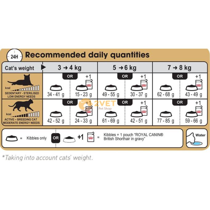 Thực Phẩm RC - BRITISH SHORTHAIR ADULT - Hạt Khô Dinh Dưỡng Dành Cho Mèo Anh Lông Ngắn - Gói 400G