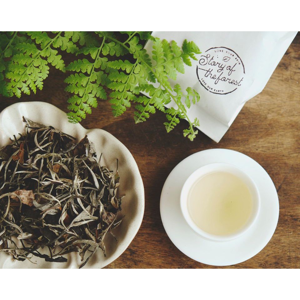 BẢN SHAN BẠCH MẪU ĐƠN - BẠCH TRÀ SHAN TUYẾT CỔ THỤ