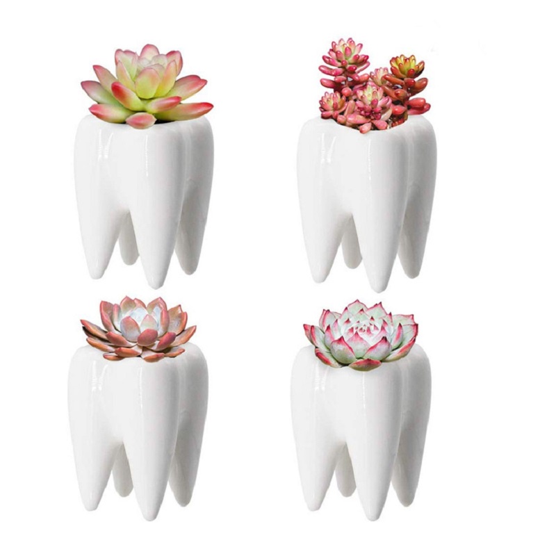 Chậu Hoa Sứ Kèm Giá Đỡ Bút Thiết Kế Răng Độc Đáo Trang Trí Nhà Cửa