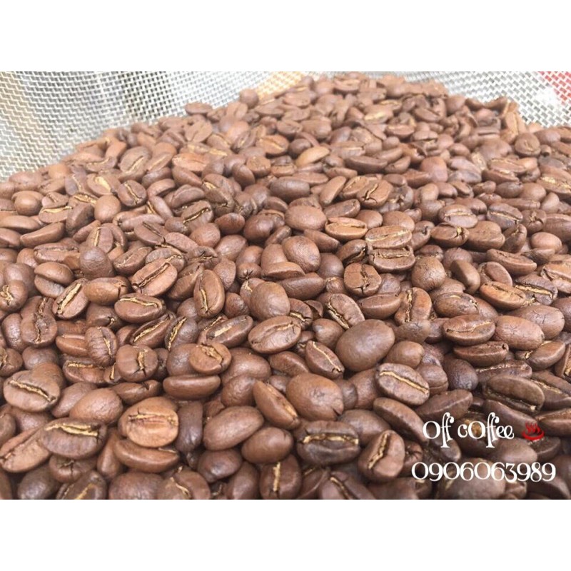 Cà Phê Hạt MoKa_1Kg-500Gram x 2