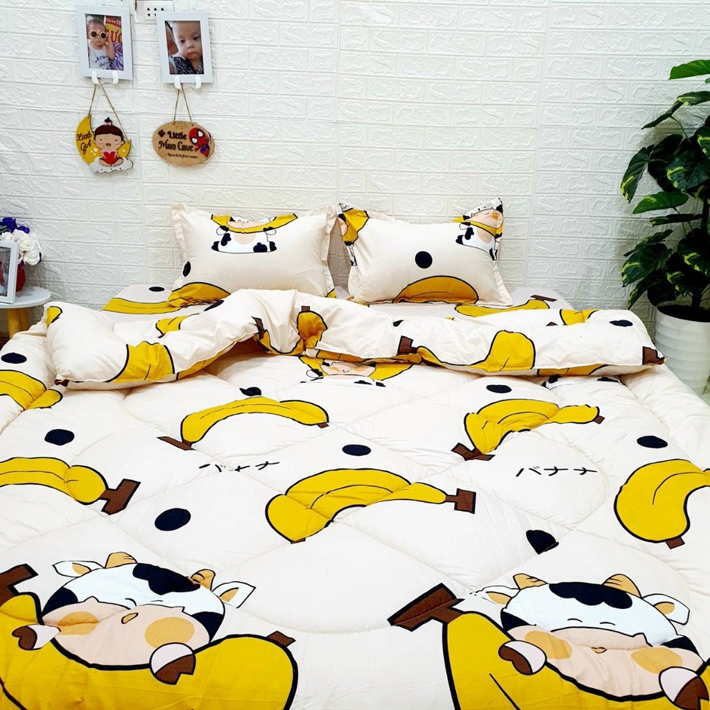 Chăn phao trần bông cotton poly m8x2m ( chát chọn mẫu)