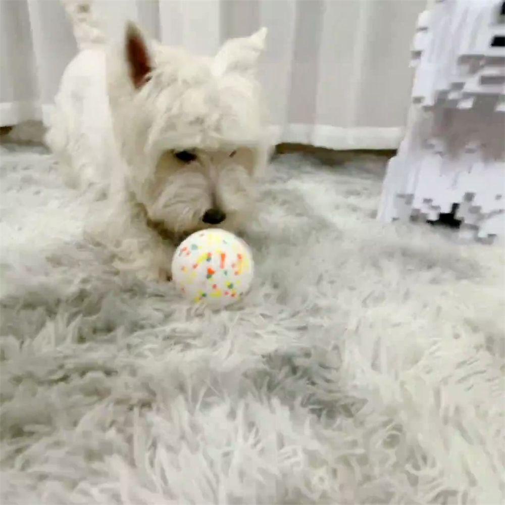 LAYOR1 Bóng Đồ Chơi An Toàn Không Độc Hại Chống Mùi Không Độc Hại Độ Co Giãn Cao Cho Chó Cưng