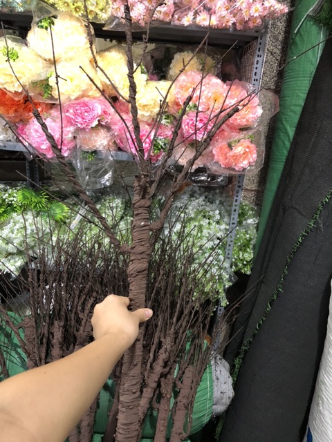 Thân Hồng giả cao 1m