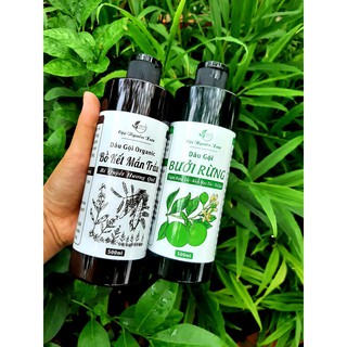 Dầu gội bồ kết thảo mộc(handmade)
