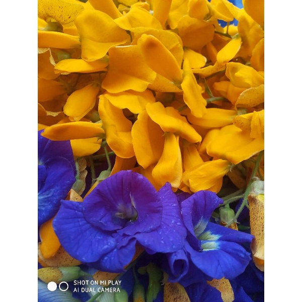 Hoa đậu biếc khô sạch nhà trồng 50g