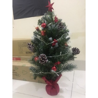 Cây thông 3 loại lá gán trái mini trang trí sẵn