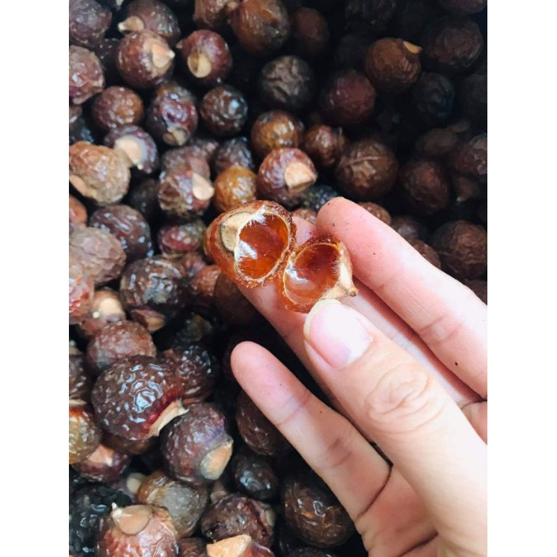 Quả bồ hòn tách hạt 1kg