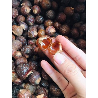 Quả bồ hòn tách hạt 1kg