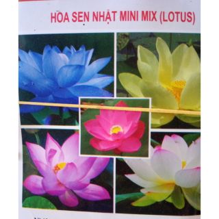 Hạt giống sen mini nhật gói 5 hạt 5 màu khác nhau