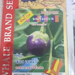 CÀ PHÁO TÍM THÁI LAN