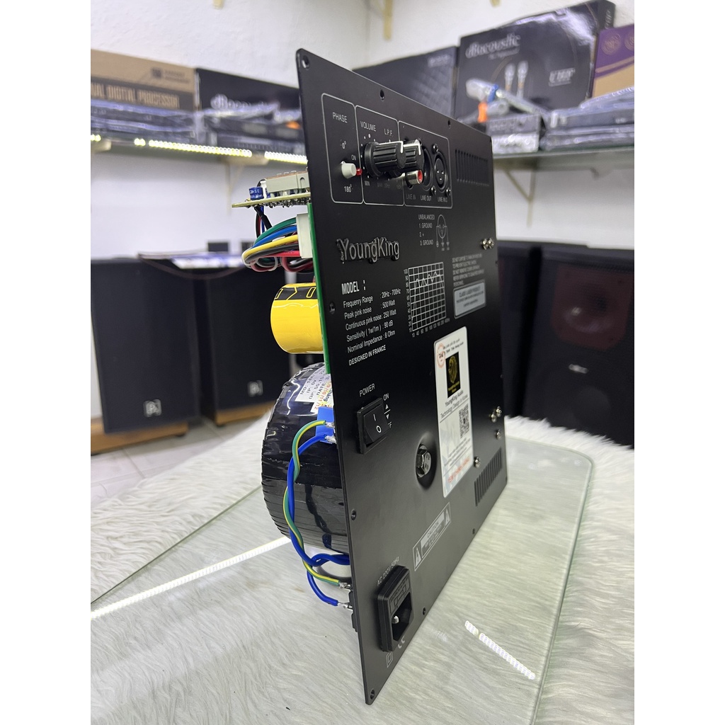 Boar Loa Sub Điện YoungKing Audio Chính Hãng