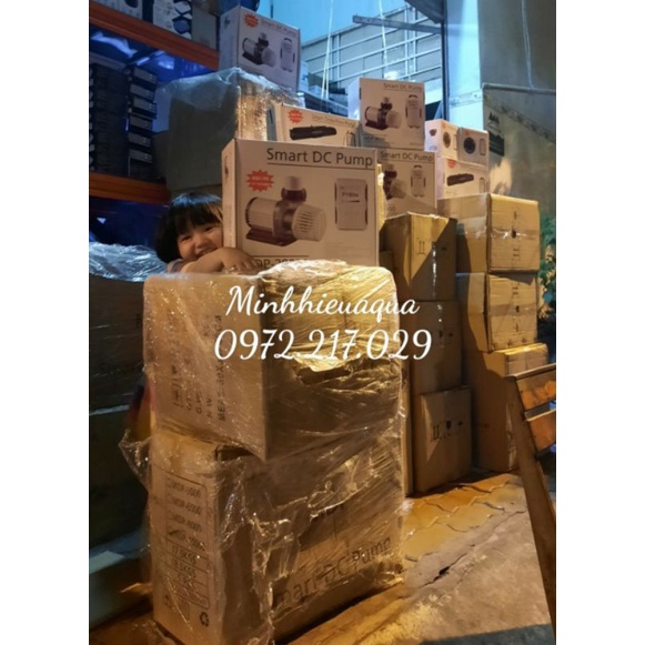 Jebao MLW Máy thổi luồng tạo sóng hồ cá Jebao MLW 10, MLW-10