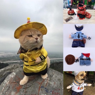ÁO COSPLAY HOÀNG THƯỢNG-NỮ SINH-COW BOY CHÓ MÈO