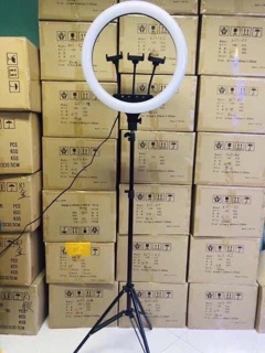 Đèn live stream 54cm RL -21 3 giá đt