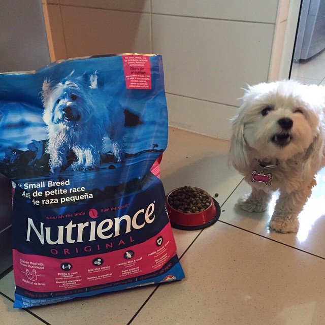 Thức Ăn Cho Chó Chihuahua Nutrience Original Bao 2,5kg Dầu Cá Hồi, Da Lông Bóng Mượt - Thịt Gà, Rau Củ Quả, Trái Cây