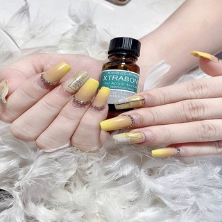Liên kết bột Primer Xtrabond USA
