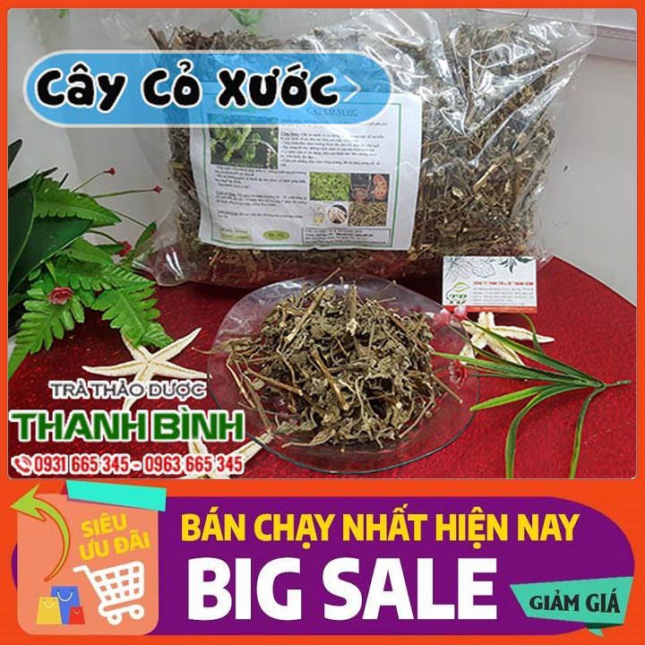 Cây Cỏ Xước 500g - Hàng Công Ty Sấy Khô - Loại 1