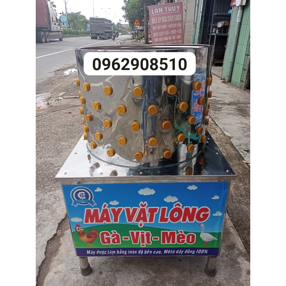 Combo 50 cao su vặt lông gà