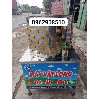 combo 50 cao su vặt lông gà