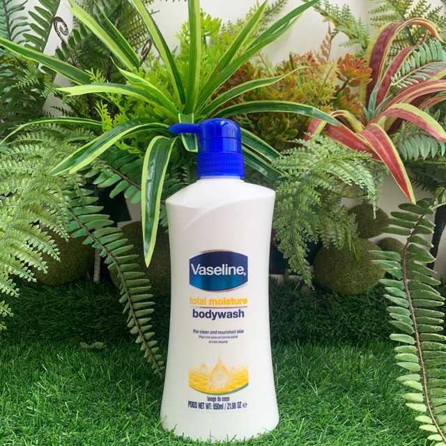 vaseline total moisture body wash