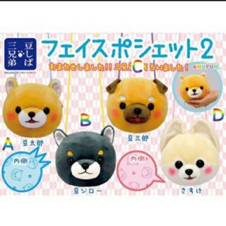 Gấu bông nhiều loại của hoa