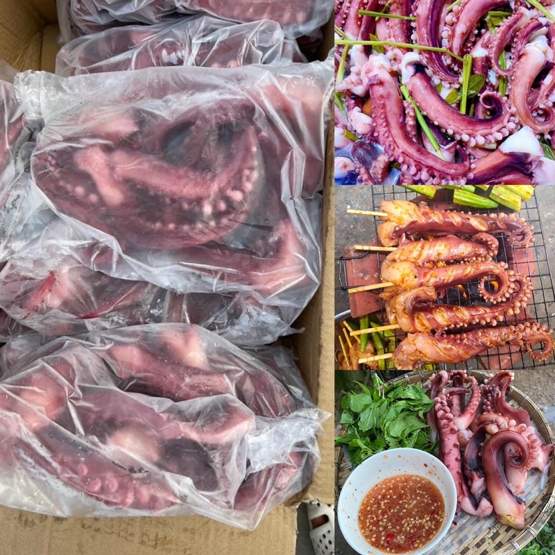 RÂU BẠCH TUỘC KHỔNG LỒ LOẠI 1 SALE 79K 1KG