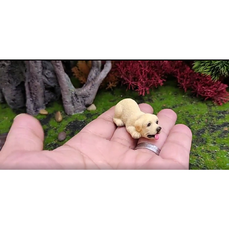 Phụ kiện trang trí tiểu cảnh terrarium mô hình chú chó vàng nằm dài đáng yêu decor sen đá, chậu cây, bàn học