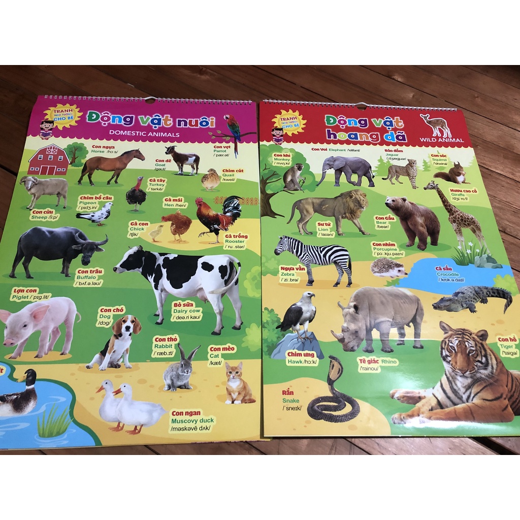 Bộ tranh treo tường song ngữ 12 chủ đề  cho bé vừa học vừa chơi