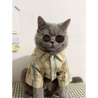 Áo sơ mi gấu dành cho thú cưng