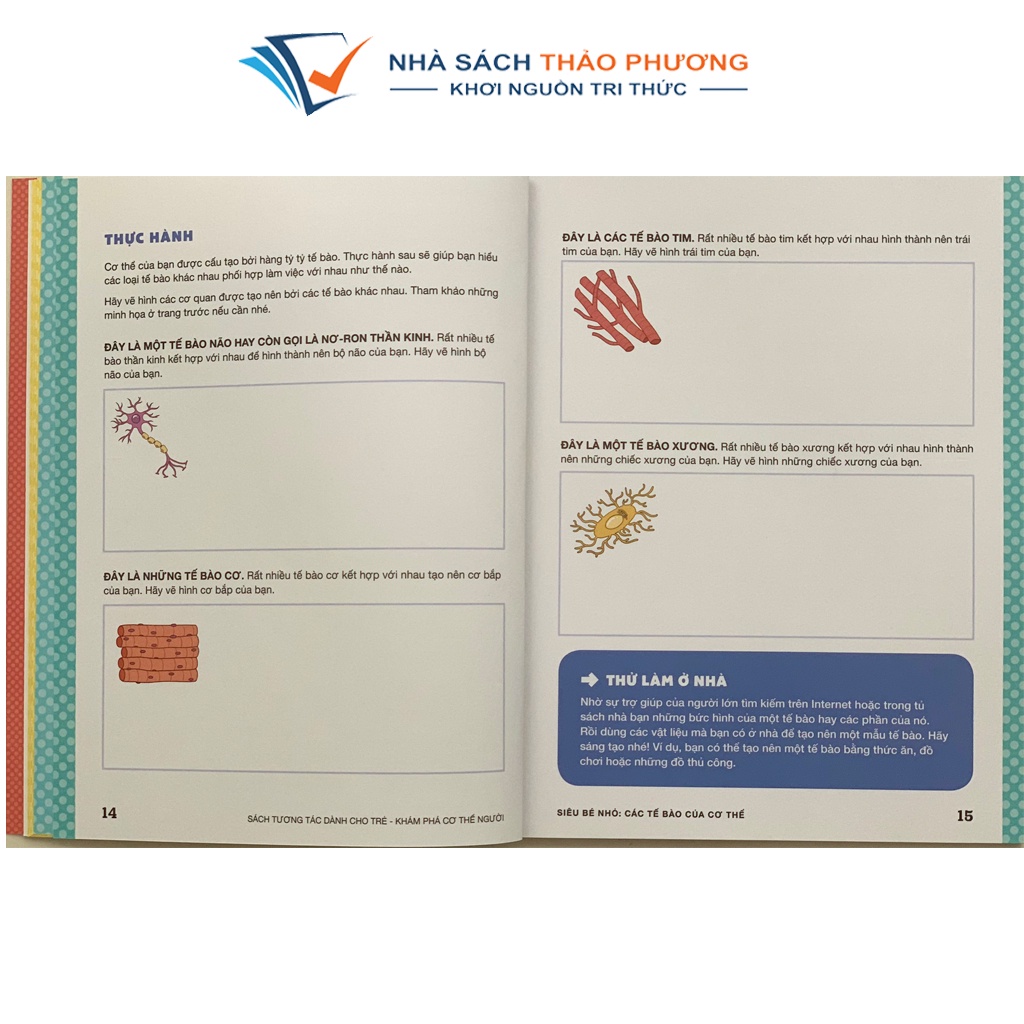 Sách tương tác dành cho trẻ - Khám phá cơ thể người