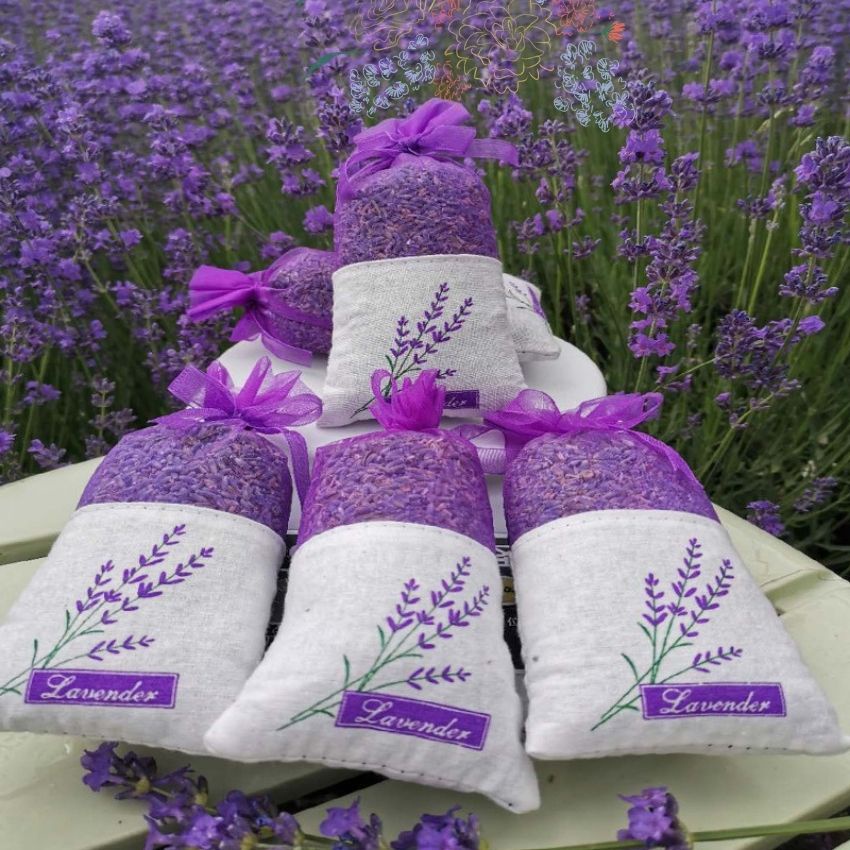 Túi Thơm Hoa Oải Hương Lavender