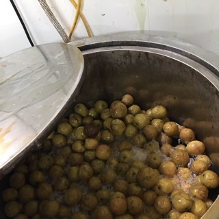 1KG TÁO SẤY DẺO VỊ MẬT NHO NINH THUẬN- NGỌT THANH NHẸ, CÓ HẠT