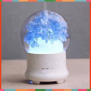 Máy khuếch tán tinh dầu hoa cẩm tú cầu