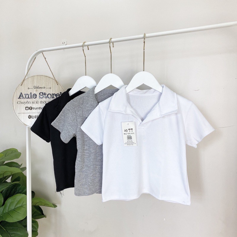 Áo Croptop Polo Cộc Tay Nữ 🦋 Áo Crt Cổ Bẻ Chất Thun Gân 3 Màu 🦋