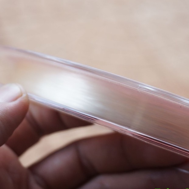 Dây Daiwa Fluoro Carbon D-Fron - made in Japan