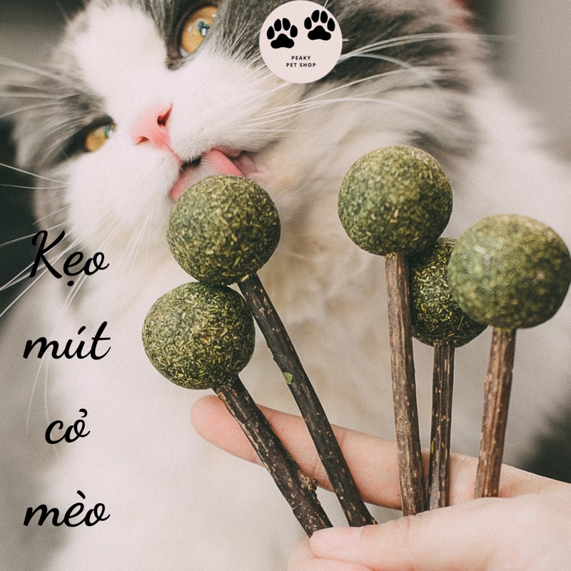Catnip cho mèo dạng que kẹo, đồ chơi catnip cho mèo thư giãn